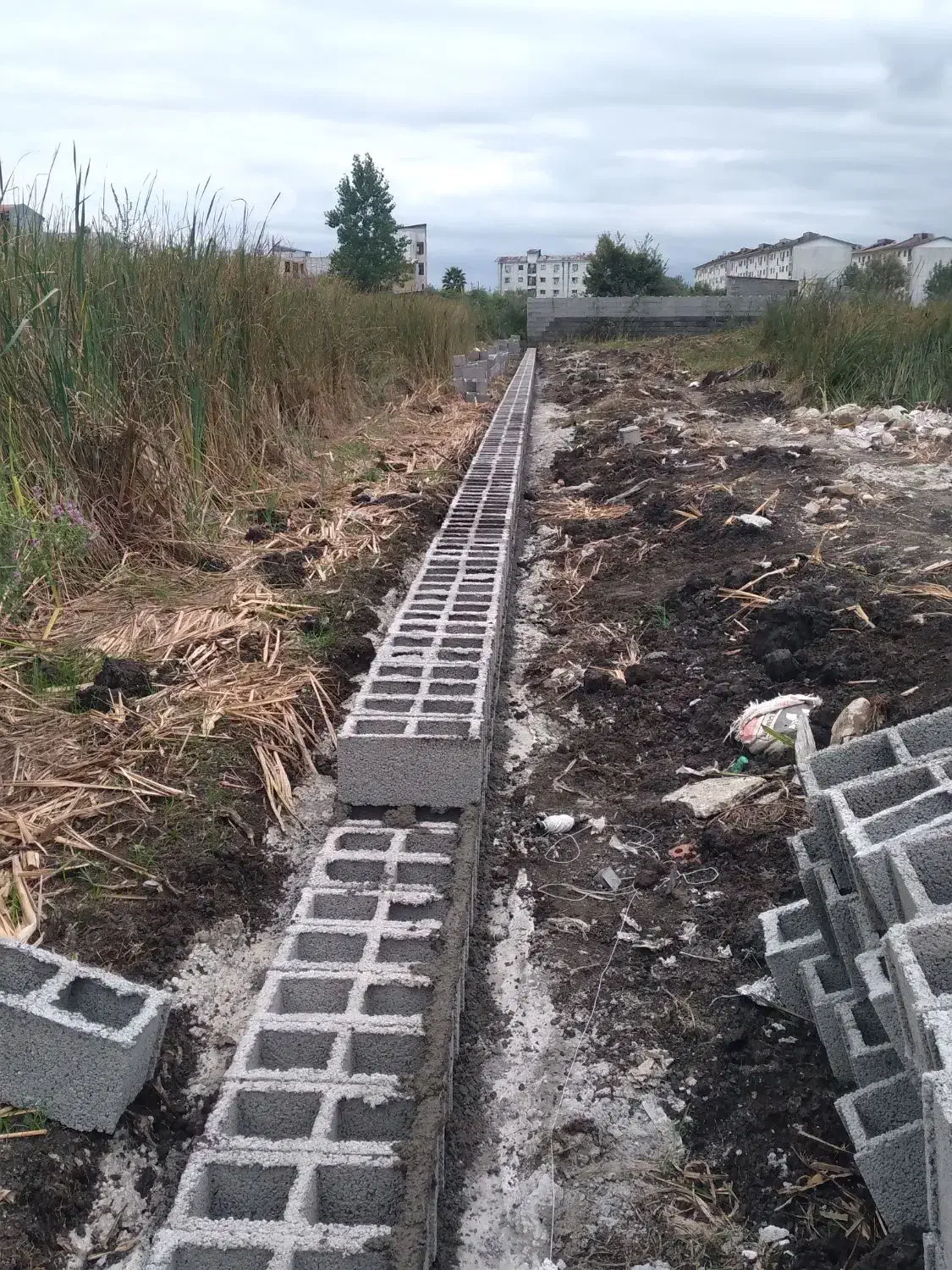 کاشی سرامیک|خدمات پیشه و مهارت|رشت, کوی طالقانی|دیوار