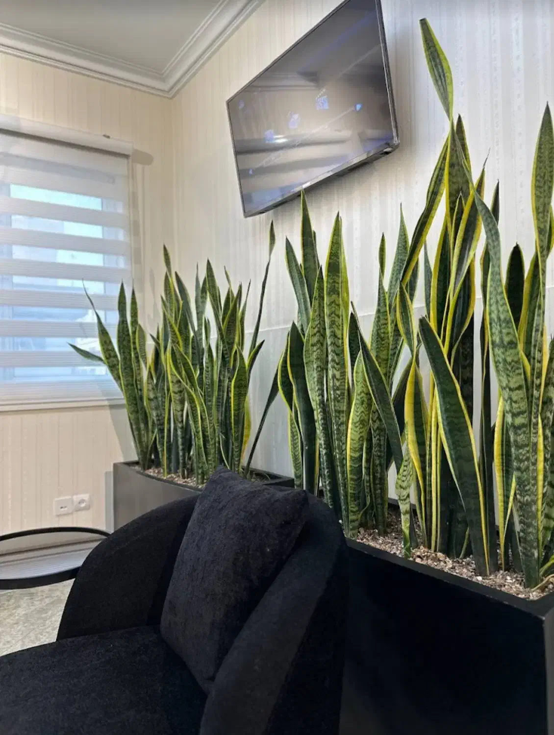 منشی مطب زیبایی و لیزر|استخدام درمانی، زیبایی، بهداشتی|تهران, کیانشهر|دیوار