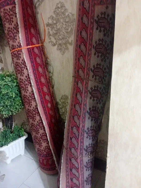 فرش دستباف|فرش|کرج, کمال‌شهر|دیوار