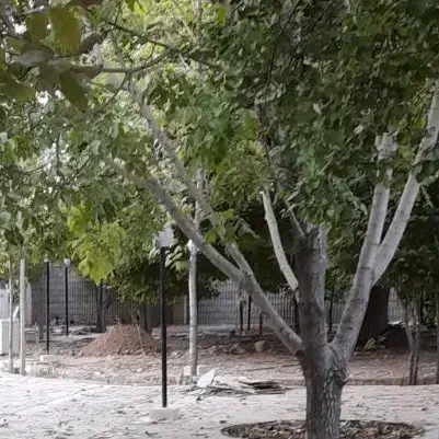 فروش یک قطعه زمین 200متری|فروش زمین و ملک کلنگی|خرم بید, |دیوار