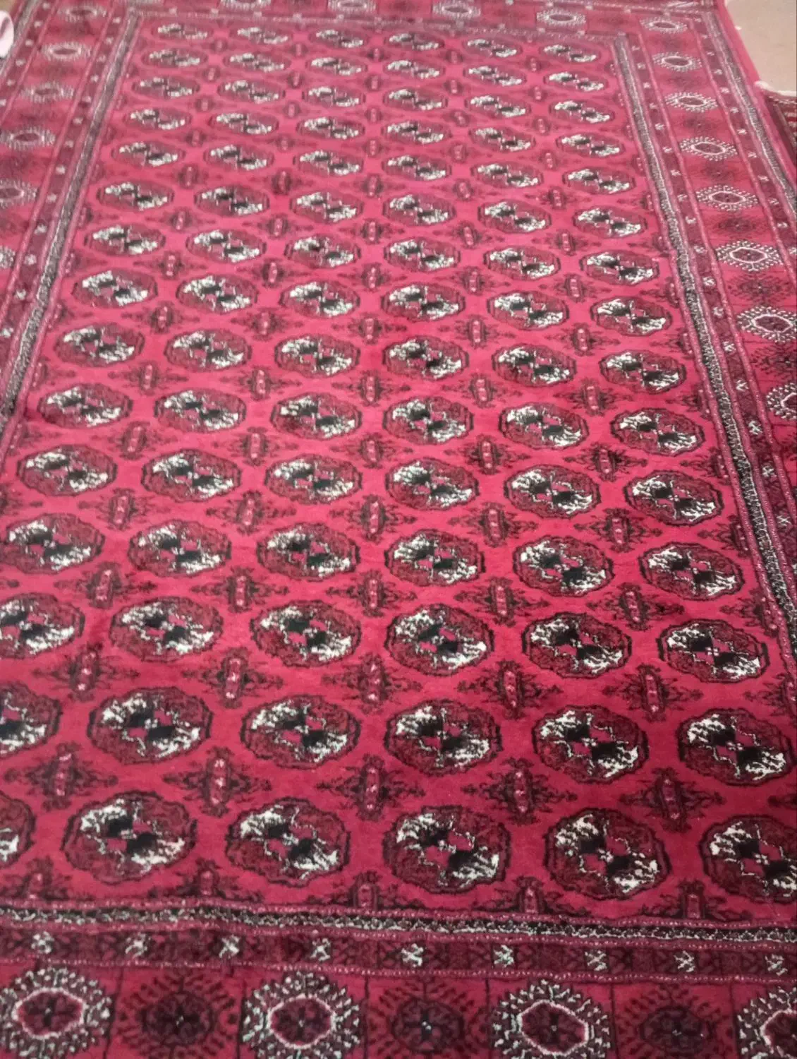 فرش دستبافت|فرش|گنبد کاووس, |دیوار