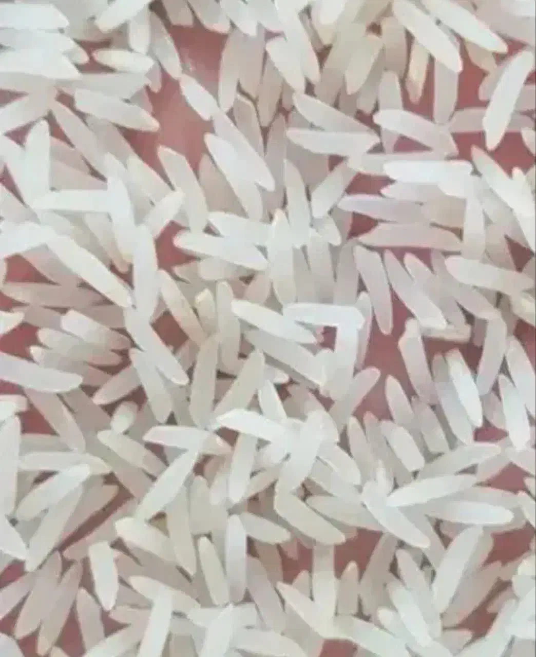 برنج فجرسوزنی|خوردنی و آشامیدنی|گرگان, |دیوار