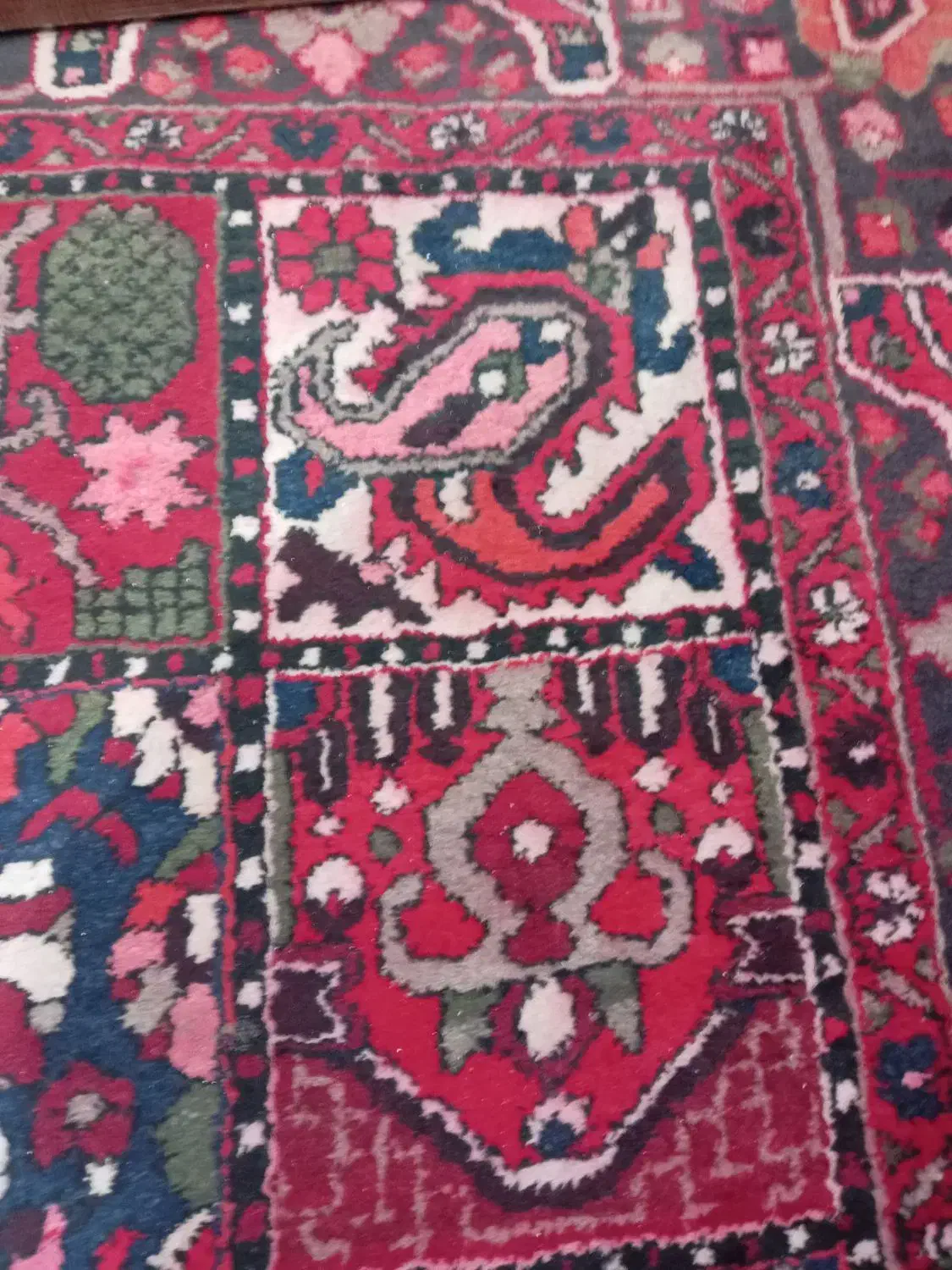 قالی دست باف|فرش|بم, |دیوار