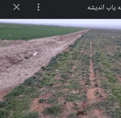 اجاره زمین کشاورزی|اجارهٔ دفتر صنعتی، کشاورزی، تجاری|کوهدشت, |دیوار