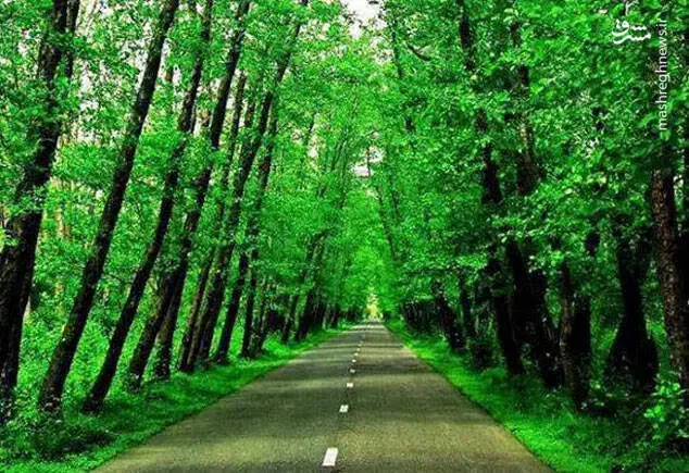 راهنمایی سفر شمال|فعالیت داوطلبانه|قم, زنبیل آباد|دیوار