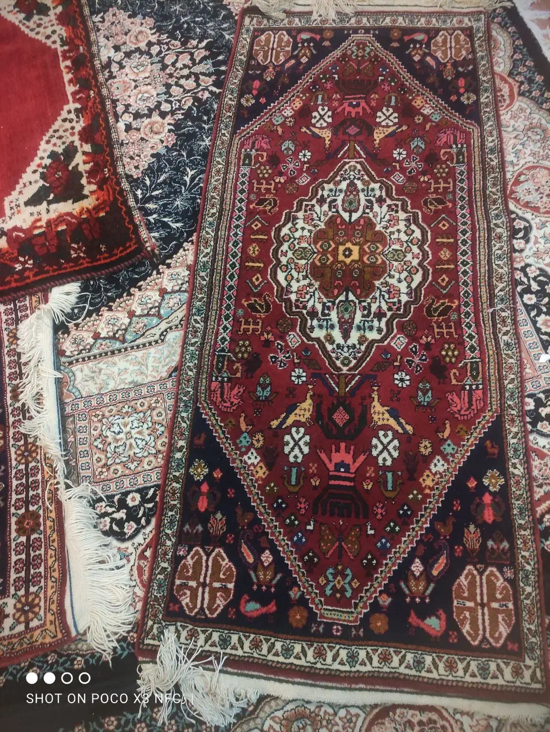 قالی دست بافت  فروشی|فرش|یزد, |دیوار