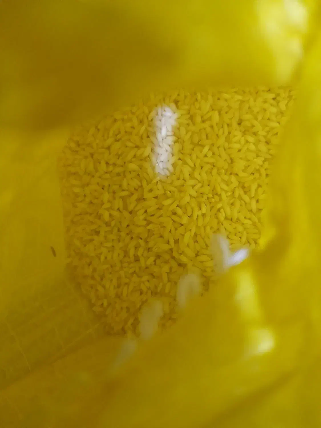 برنج عمبر بو|خوردنی و آشامیدنی|شادگان, |دیوار