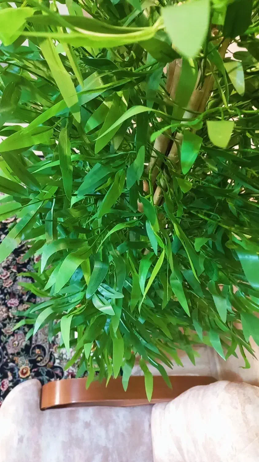 برگ بامبو بسته ۳۶ عددی و درختچه|گل مصنوعی|کرج, گلشهر|دیوار