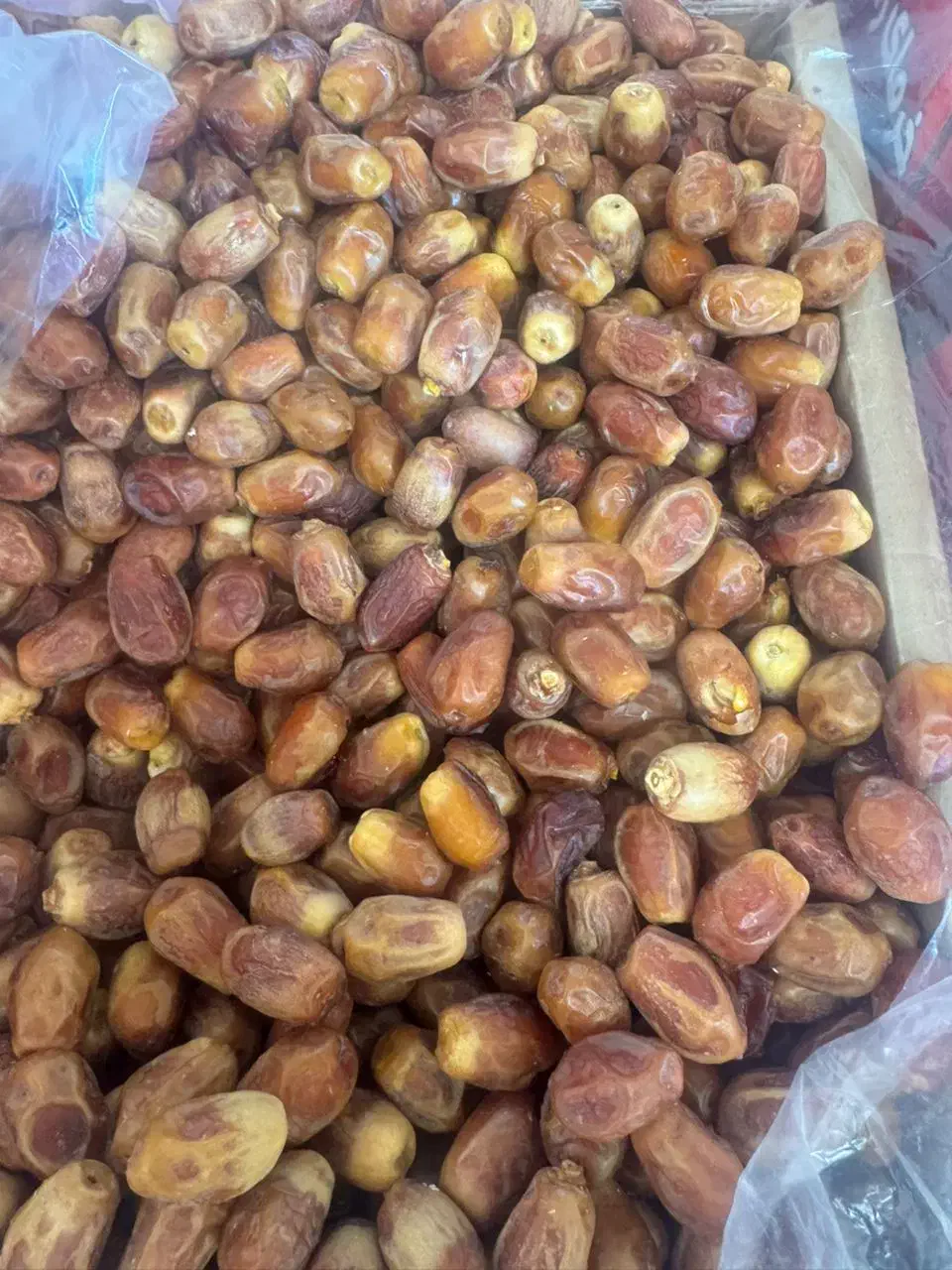 خرمای زاهدی|خوردنی و آشامیدنی|شیراز, لاله|دیوار