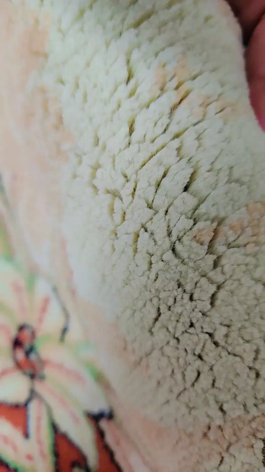 فرش اشپزخانه بیضی|فرش|تبریز, |دیوار