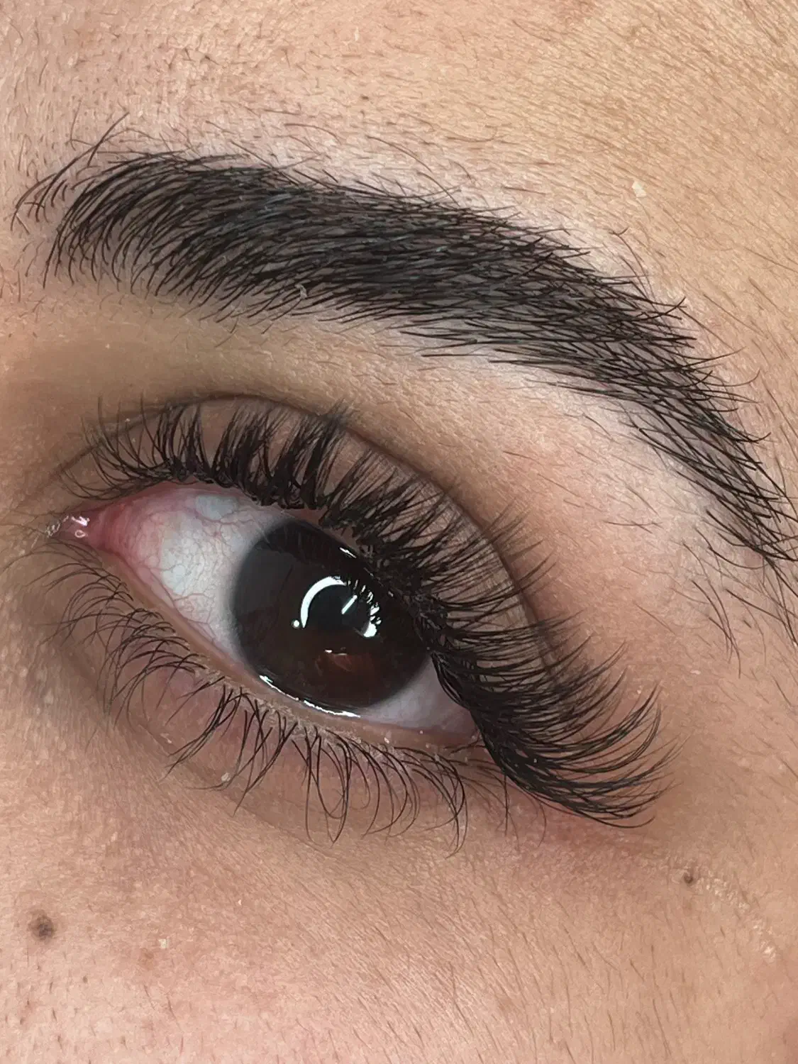 تخفیف ویژه کاشت اولیه فقط تا شب یلدا|خدمات آرایشگری و زیبایی|لنگرود, |دیوار