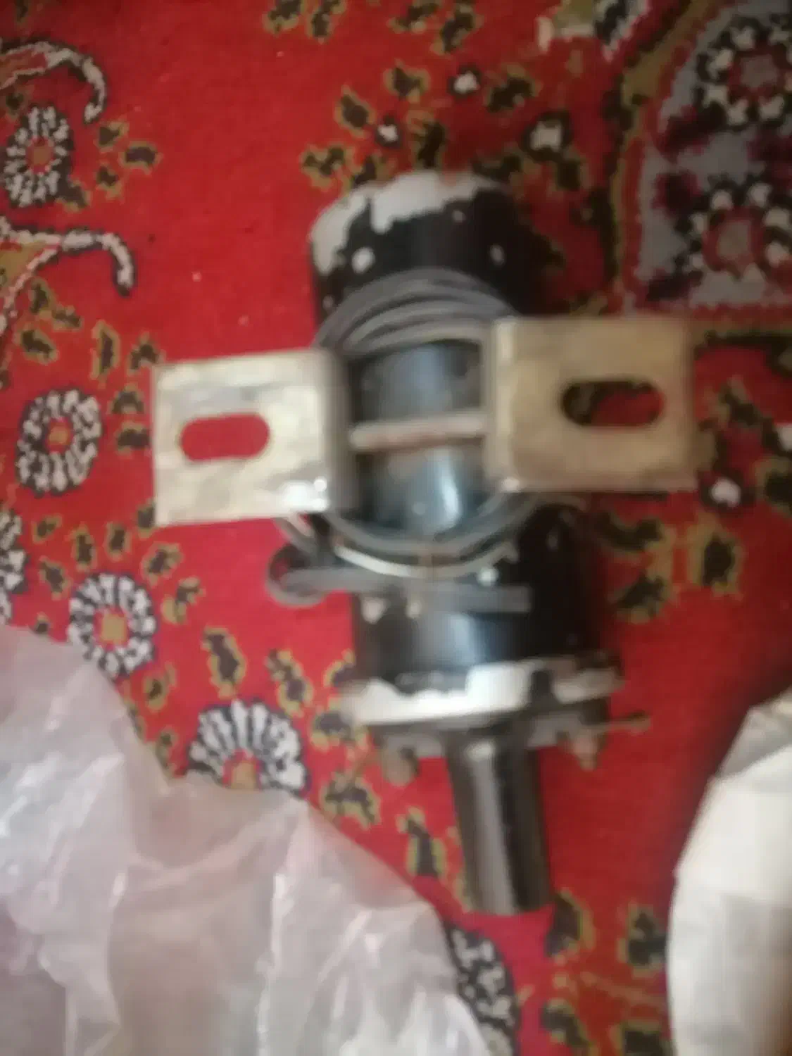 باند پایونیر|صوتی و تصویری|شیراز, اصلاح‌نژاد|دیوار