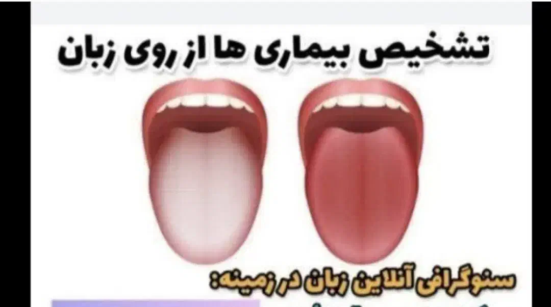 آموزش در طب سنتی|فعالیت داوطلبانه|شیراز, شهرک امیر کبیر|دیوار