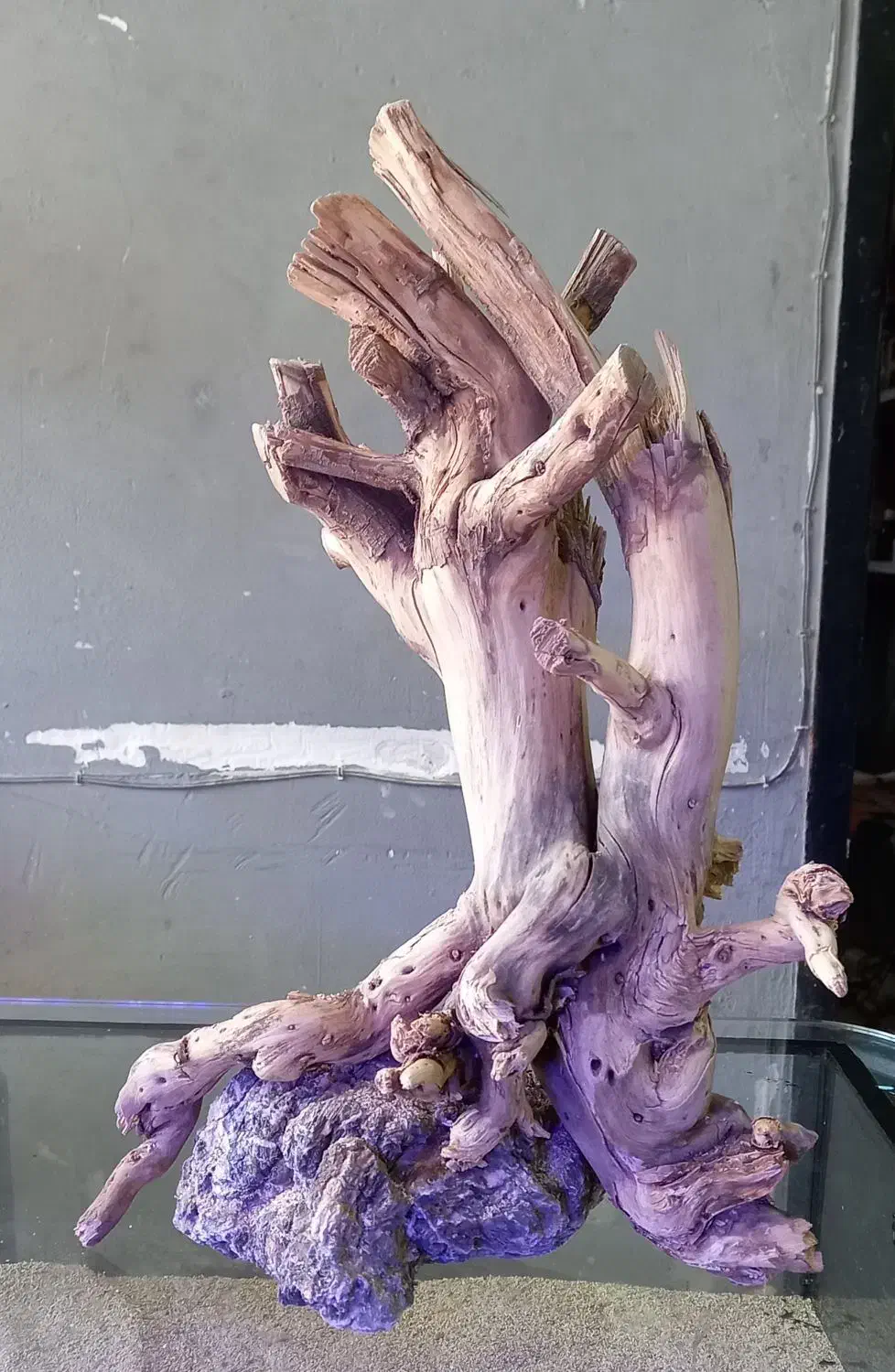 دکور آکواریوم سنگ و چوب طبیعی|ماهی|کرمان, |دیوار