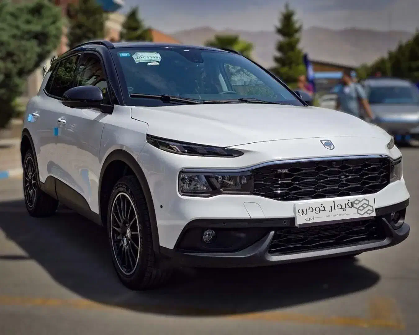 فروش ری را خشک اقساطی بدون ضامن|خودرو سواری و وانت|تهران, نیلوفر|دیوار