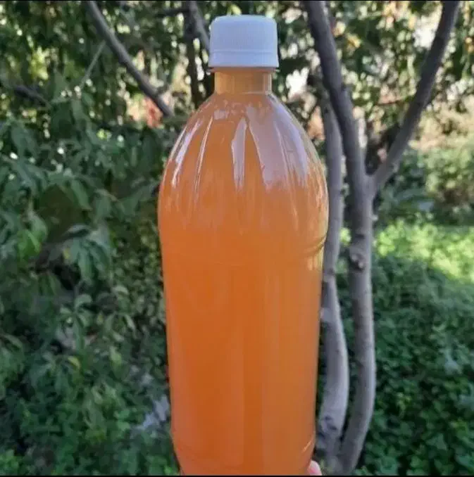 ابغوره خانگی|خوردنی و آشامیدنی|تبریز, |دیوار