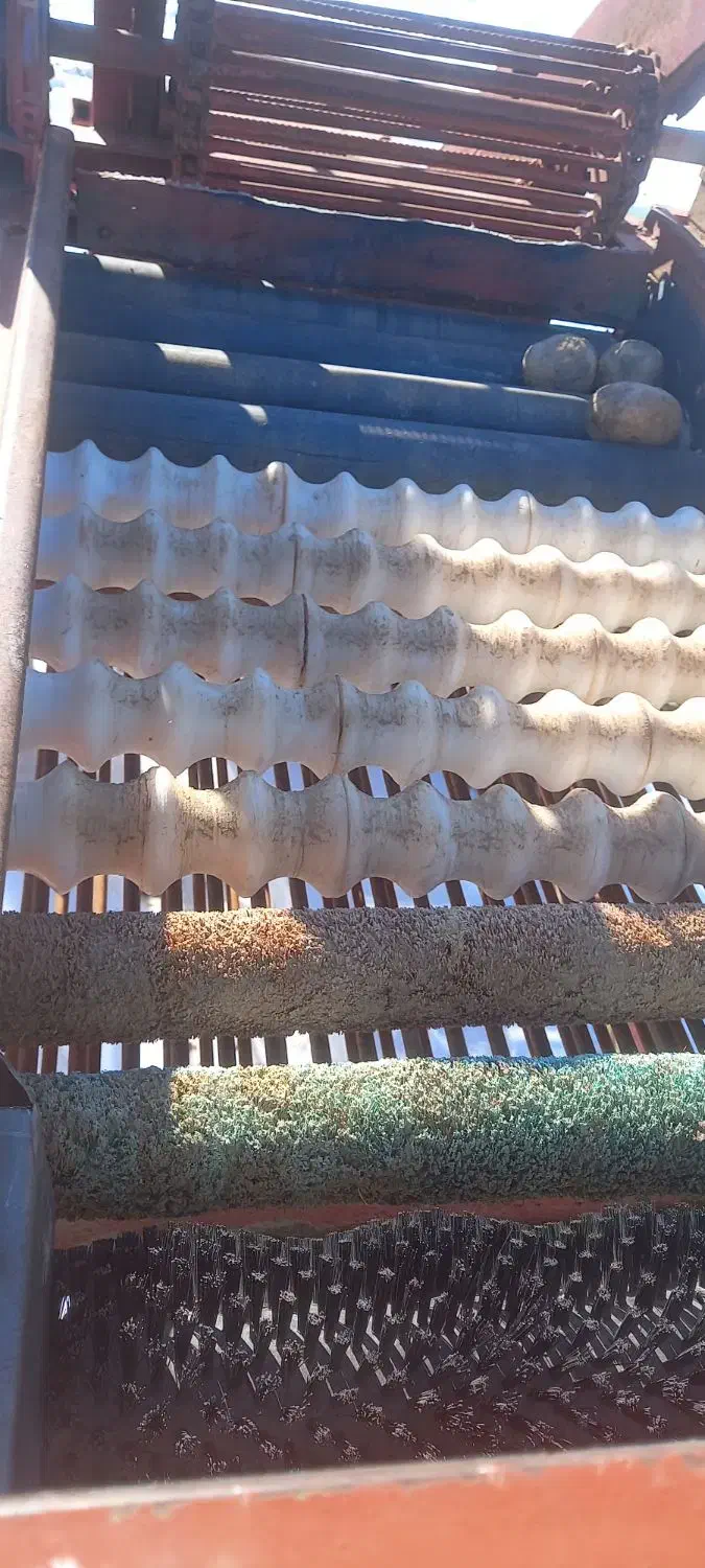 دستگاه سورتینگ سیب زمینی|ماشینآلات صنعتی|سردرود, |دیوار