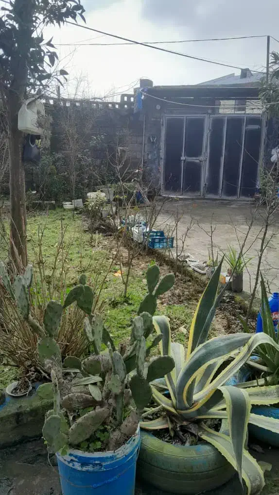 راهنمایی کافه شریکی|اجارهٔ مغازه و غرفه|رشت, آتشگاه|دیوار