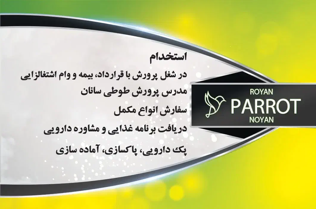 لاوبرد قناری برزیلی قفس ملنگو طوطی|پرنده|مشهد, فاطمیه|دیوار