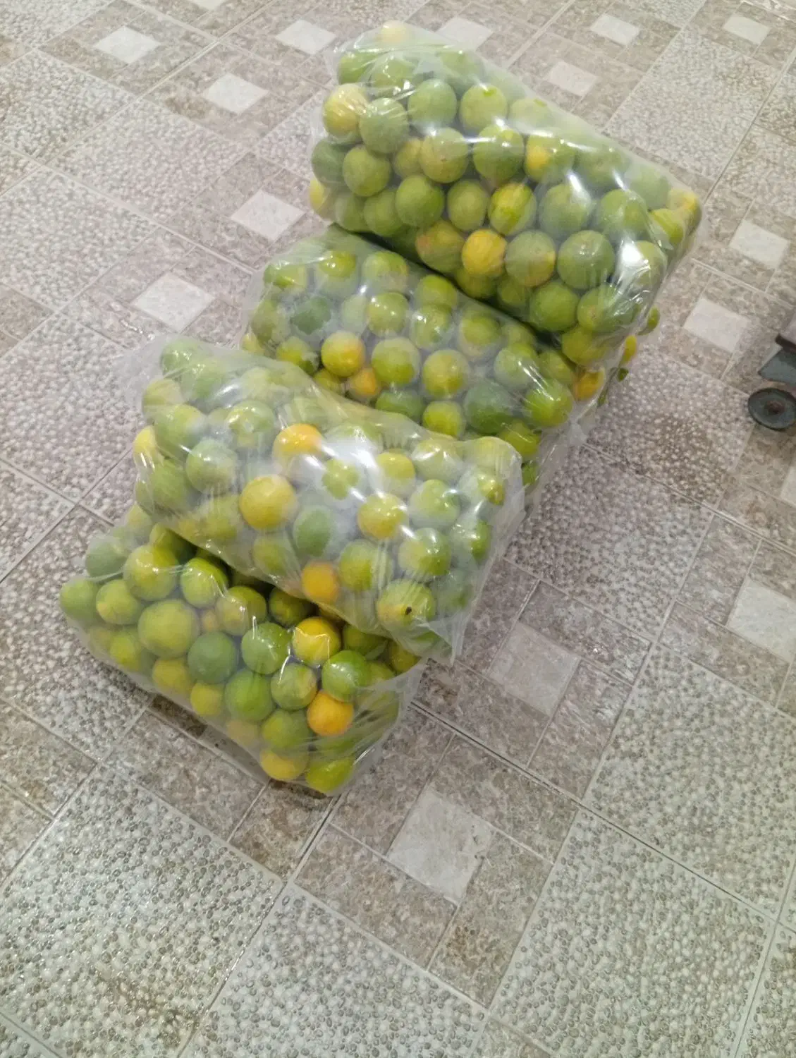 فروش پرتقال گنبکی|عمدهفروشی|گنبکی, |دیوار