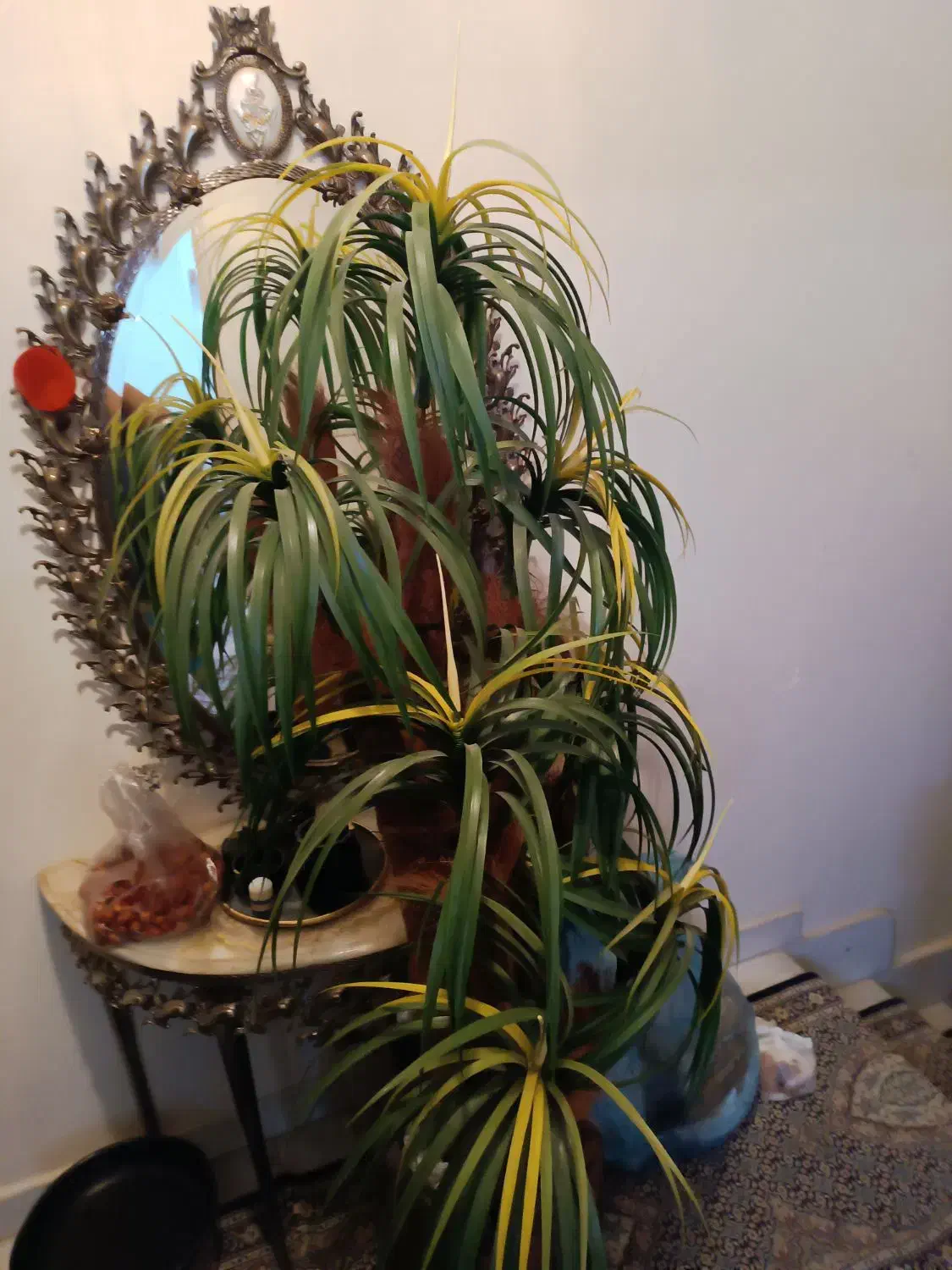 گلدان نخلی با گلدان سفالی|گل مصنوعی|تبریز, |دیوار