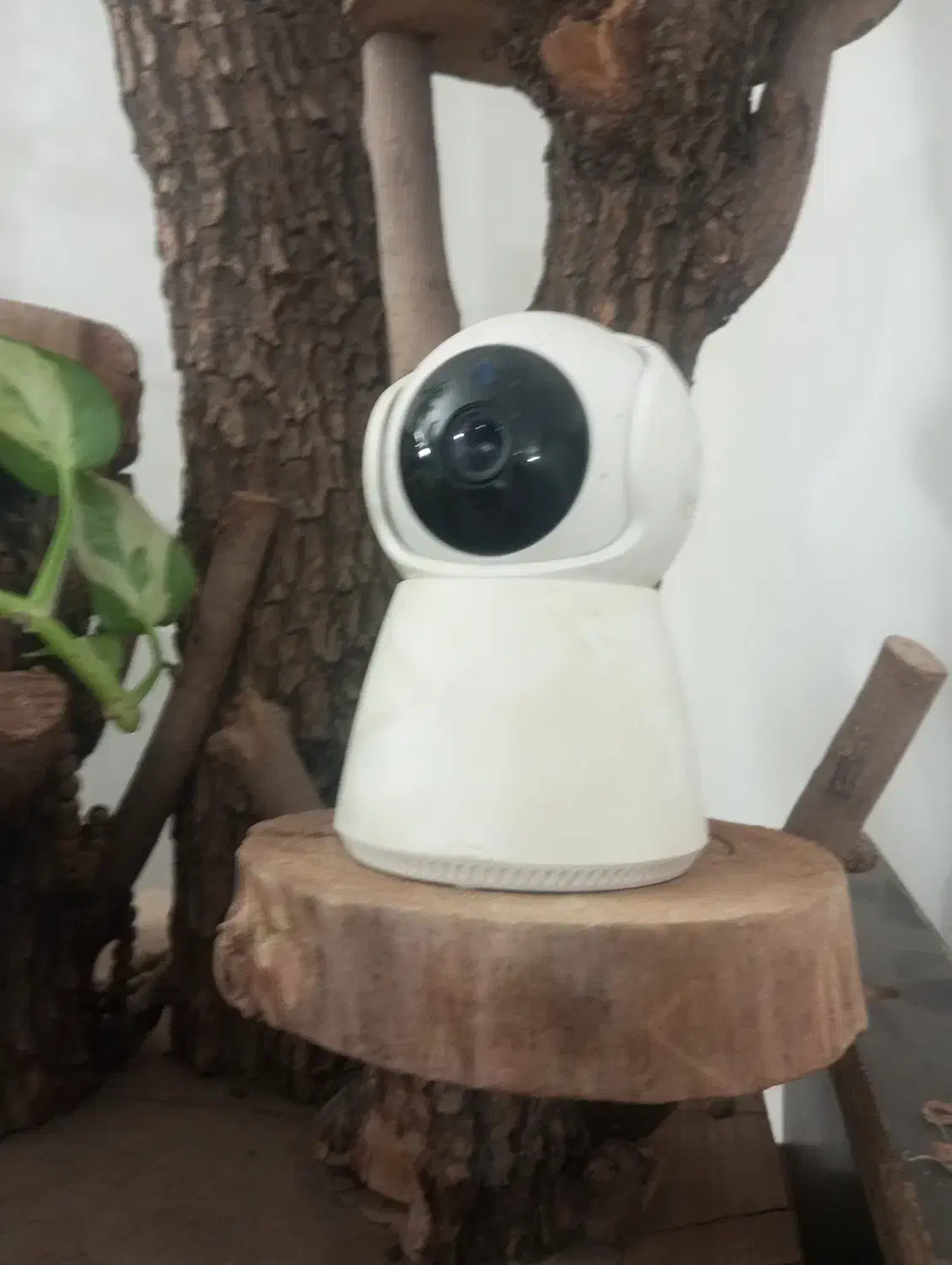 مودم همراه دوربین چرخشی برقی با باکارتن|مودم و تجهیزات شبکه|گلپایگان, |دیوار