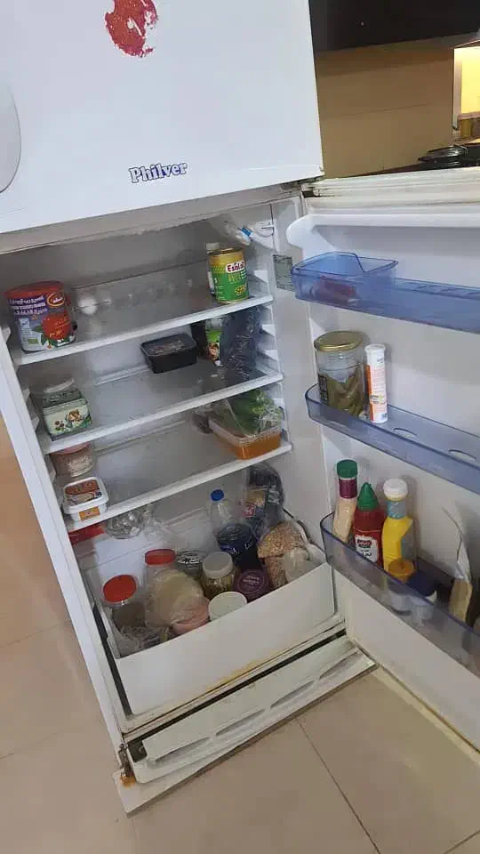 یخچال|یخچال و فریزر|بوشهر, |دیوار