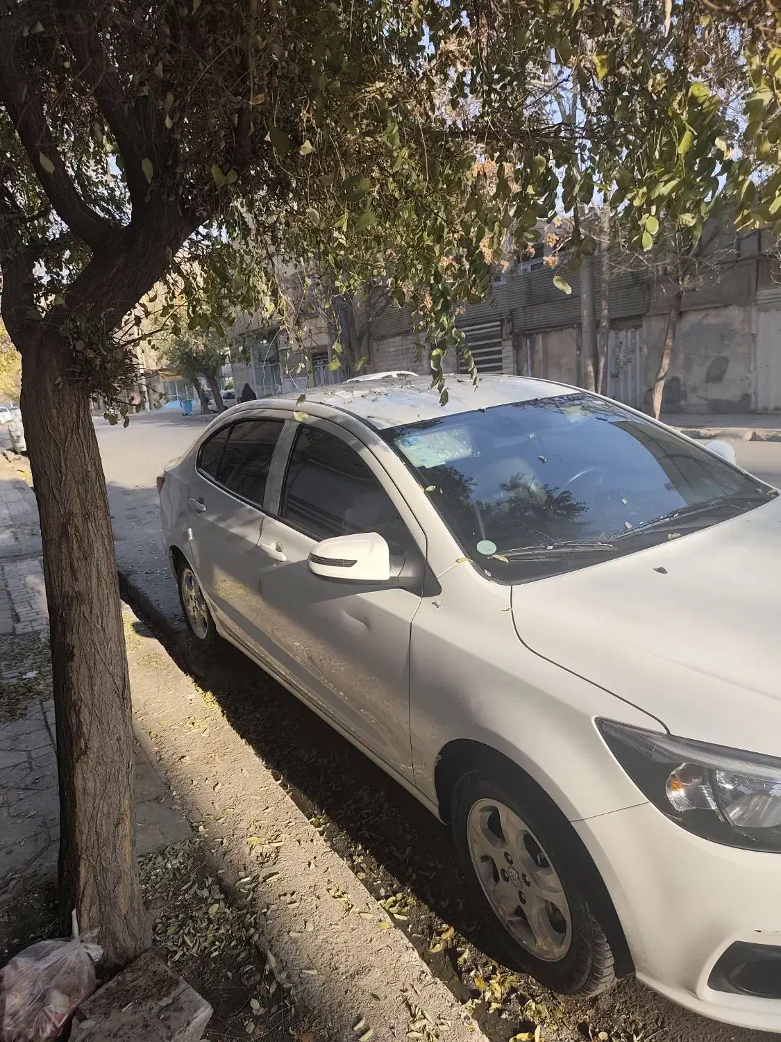 فروش شاهین|خودرو سواری و وانت|مشهد, طلاب|دیوار