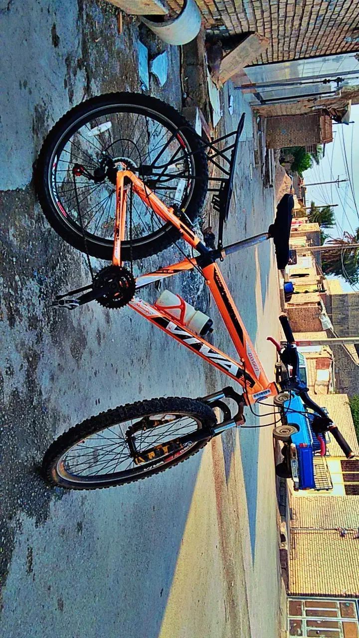 دوچرخه ۲۶ویوا|دوچرخه، اسکیت، اسکوتر|کارون, |دیوار