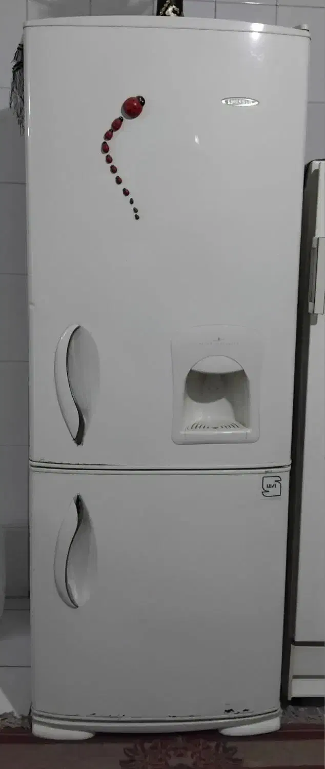 یخچال و فریزر امرسان|یخچال و فریزر|بیرجند, |دیوار