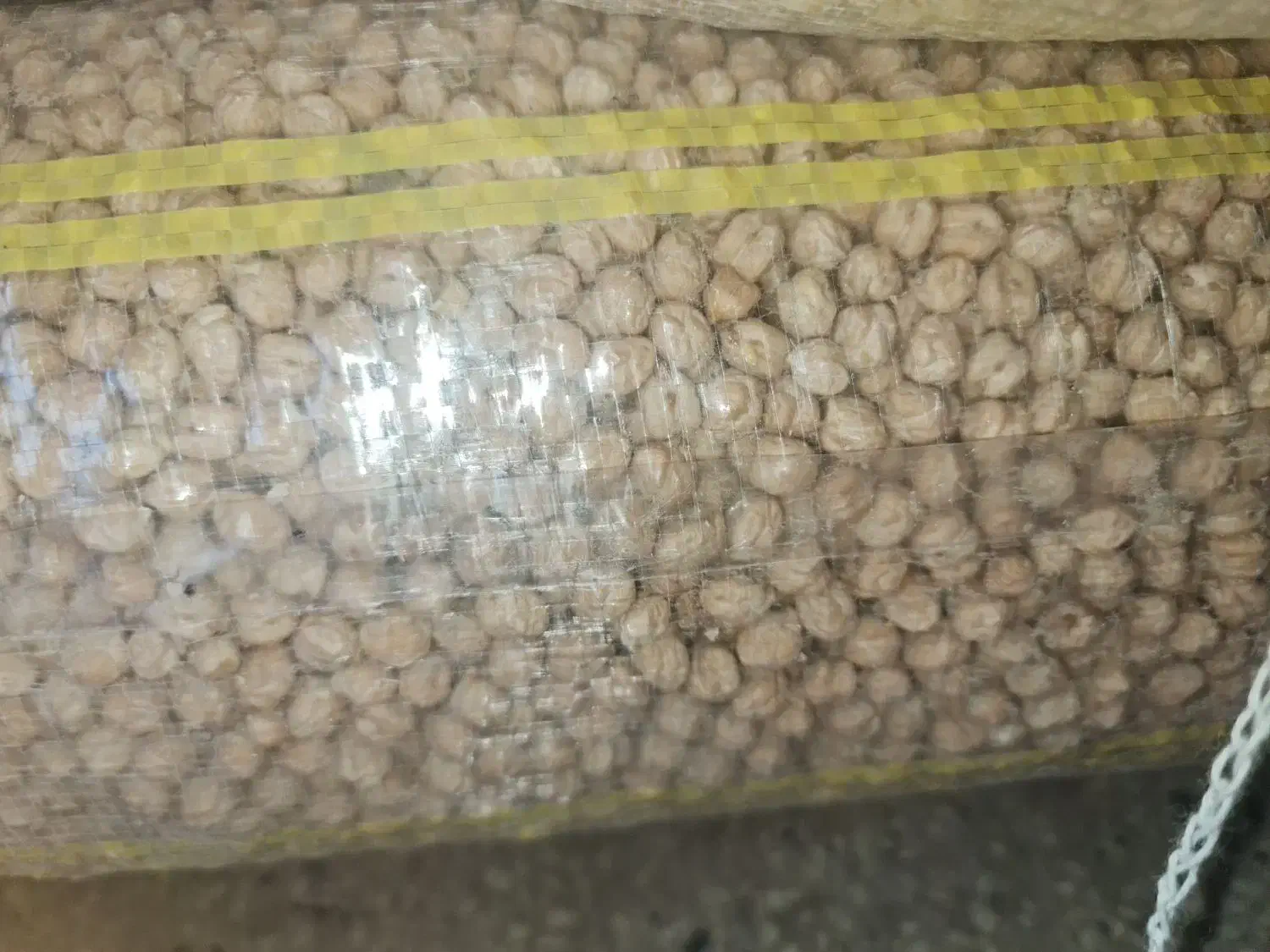 نخود گکسو درجه یک بذری|عمدهفروشی|گهواره, |دیوار