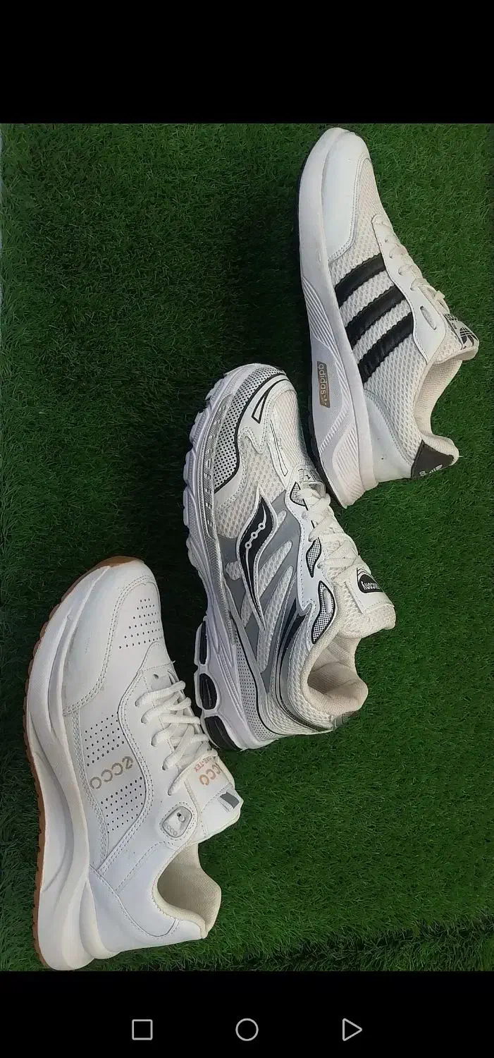 چمن مصنوعی|گل مصنوعی|سبزوار, مدرس|دیوار