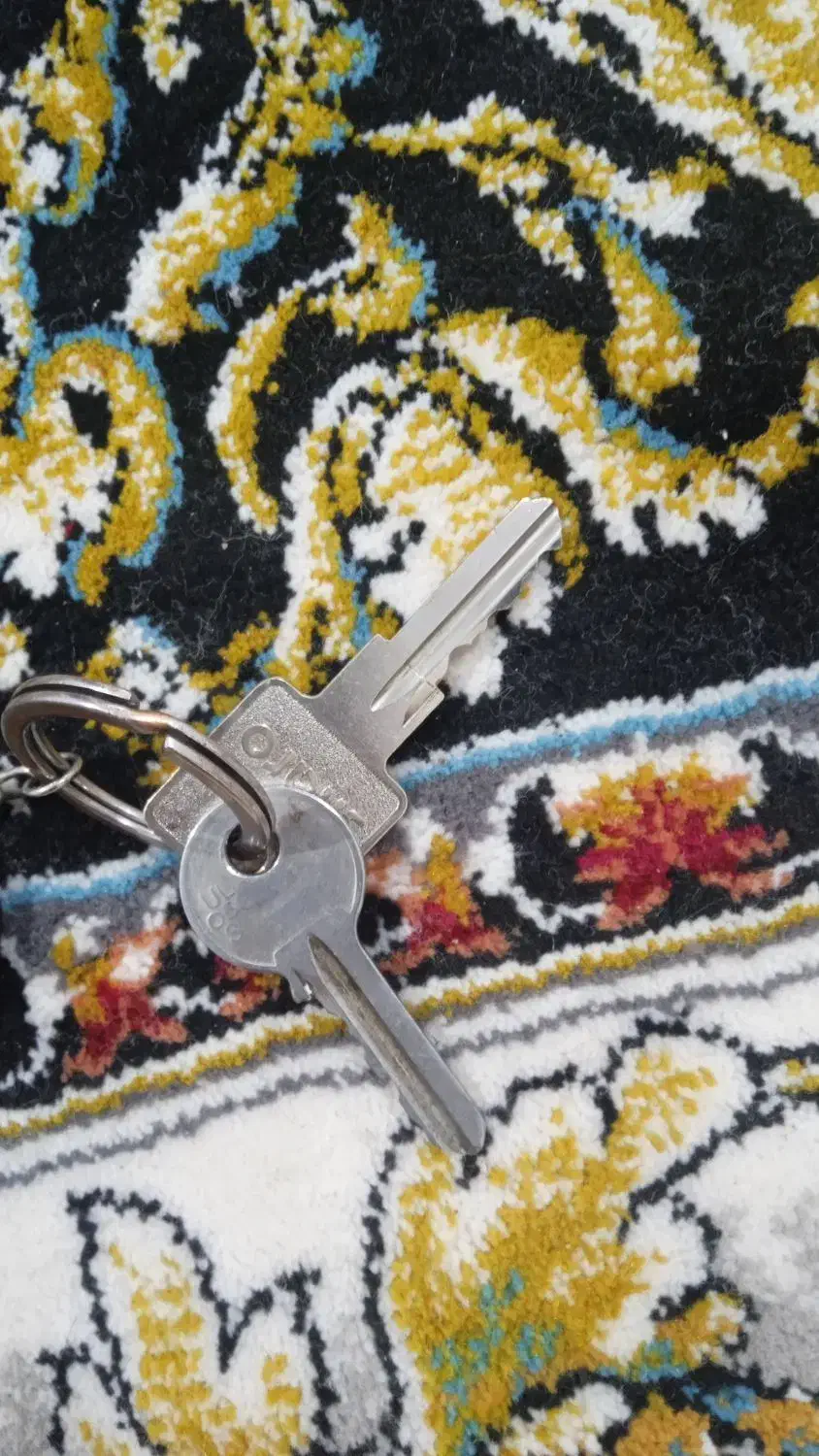 یک دسته کلید 4تا کلید بوده دوتاش داخل عکس گذاشتم|اشیا|جلگه ماژان, |دیوار