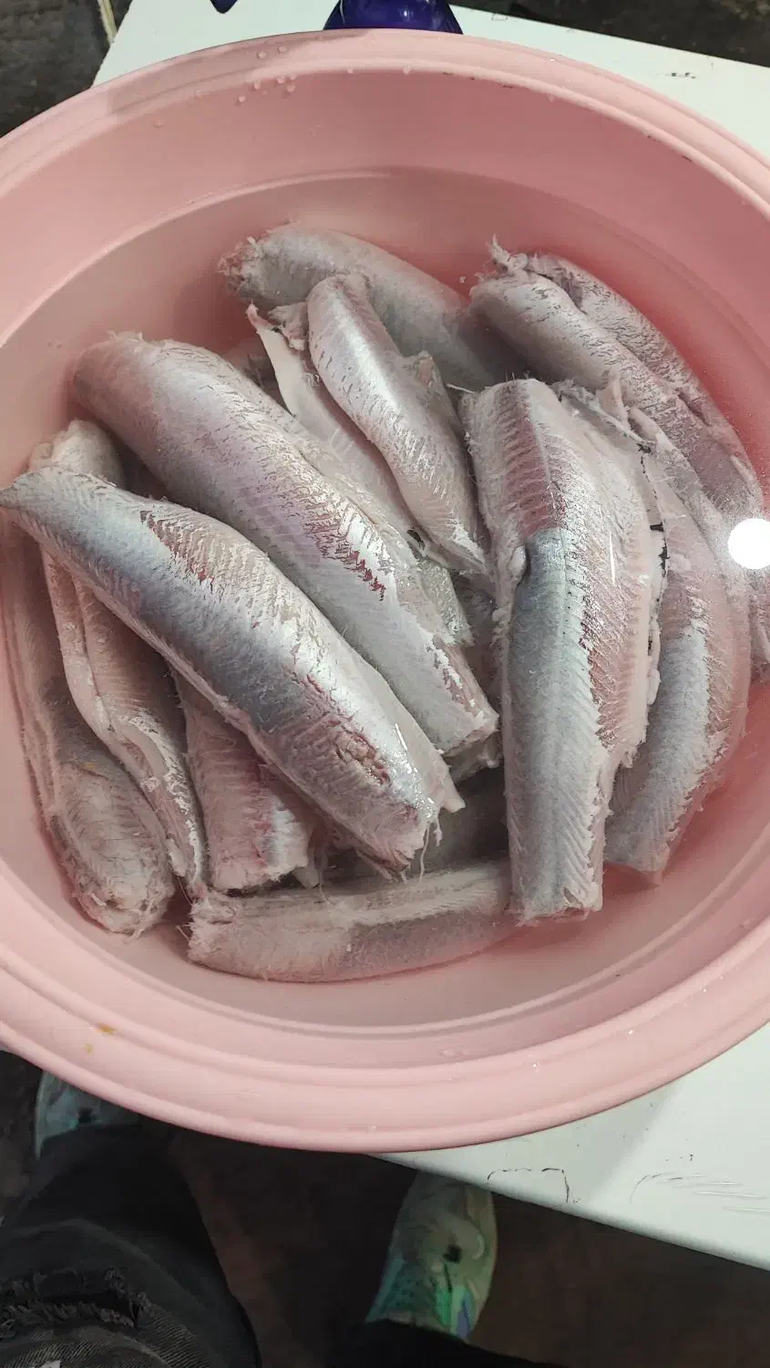 ماهی امروز|خوردنی و آشامیدنی|شاهین دژ, |دیوار