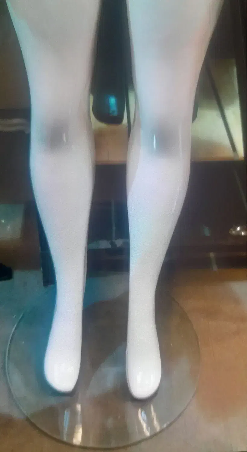 ۴ عدد مانکن زنانه نو وتعدادی رگال      بفروش میرسد|فروشگاه و مغازه|مشهد, جنت|دیوار