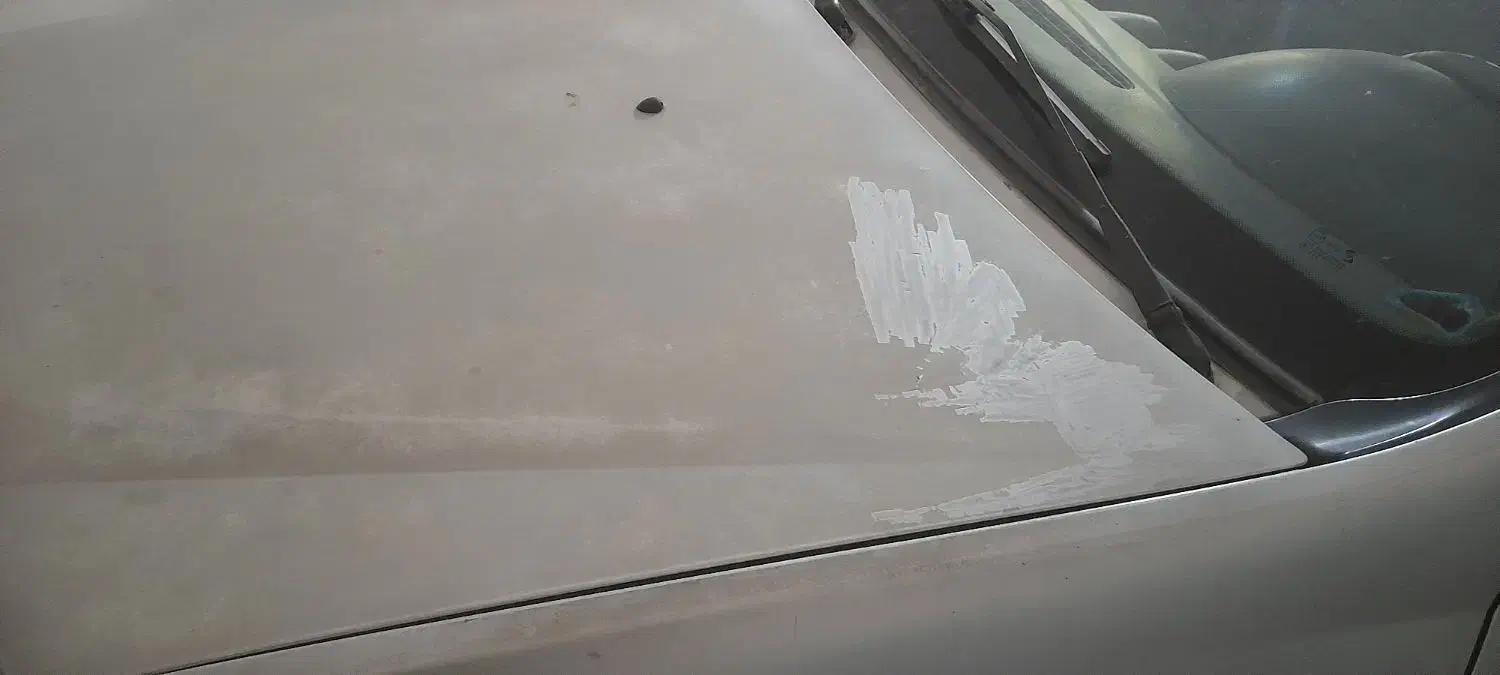 ال ۹۰|خودرو سواری و وانت|سبزوار, پاسداران|دیوار