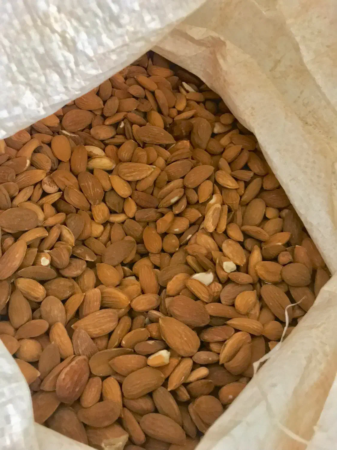 مغز بادام|خوردنی و آشامیدنی|کاشان, کارگر|دیوار