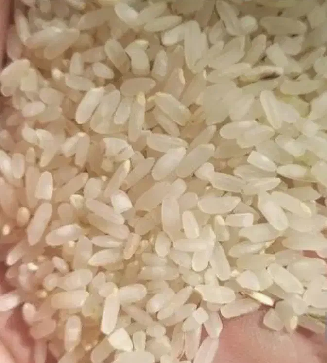 برنج کامفیروزی اصل به شرط پخت|خوردنی و آشامیدنی|شیراز, شریف‌آباد|دیوار