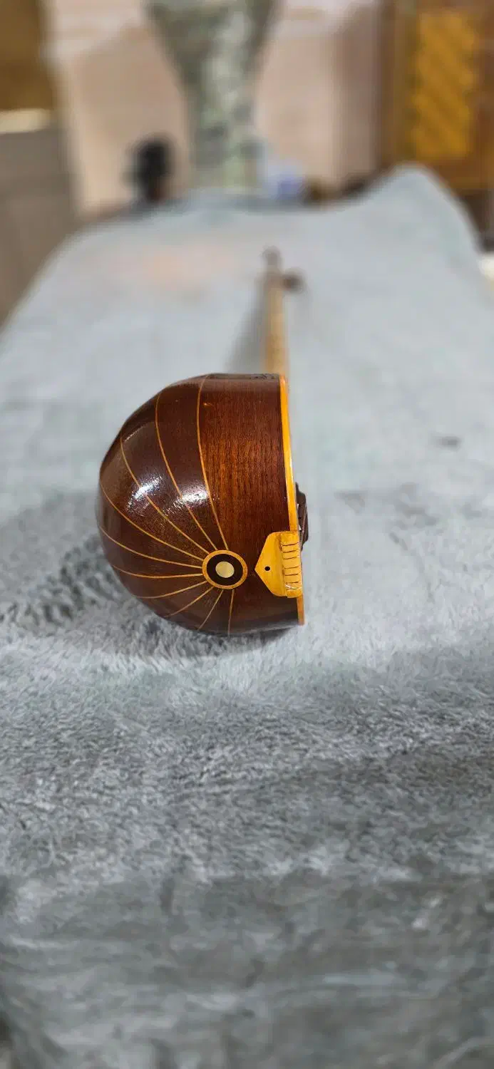 سه تار کاسه کمالیان|سازهای سنتی|لنجان, |دیوار