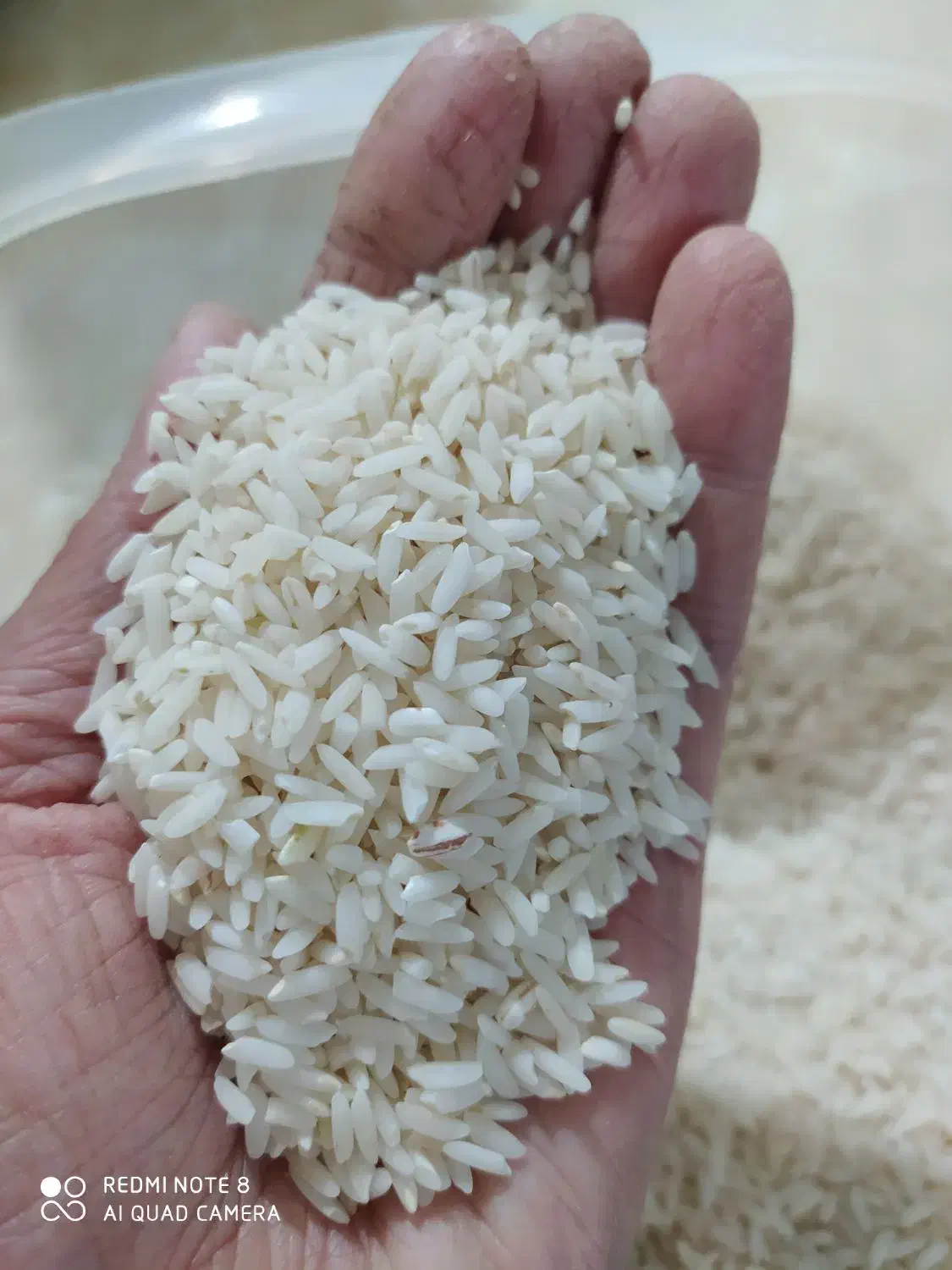 برنج محلی علی کاظمی موجود ه|خوردنی و آشامیدنی|زاغه, |دیوار