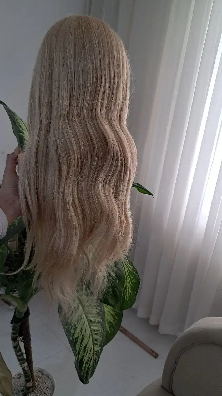 سرمانکن فلوریا|آرایشی، بهداشتی، درمانی|کاشمر, |دیوار