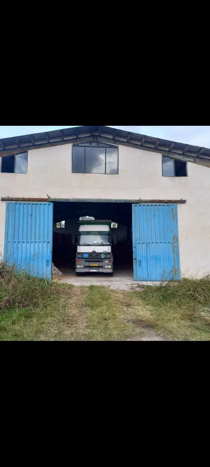 پوست بادام زمینی|خدمات باغبانی و درختکاری|آستانه اشرفیه, |دیوار