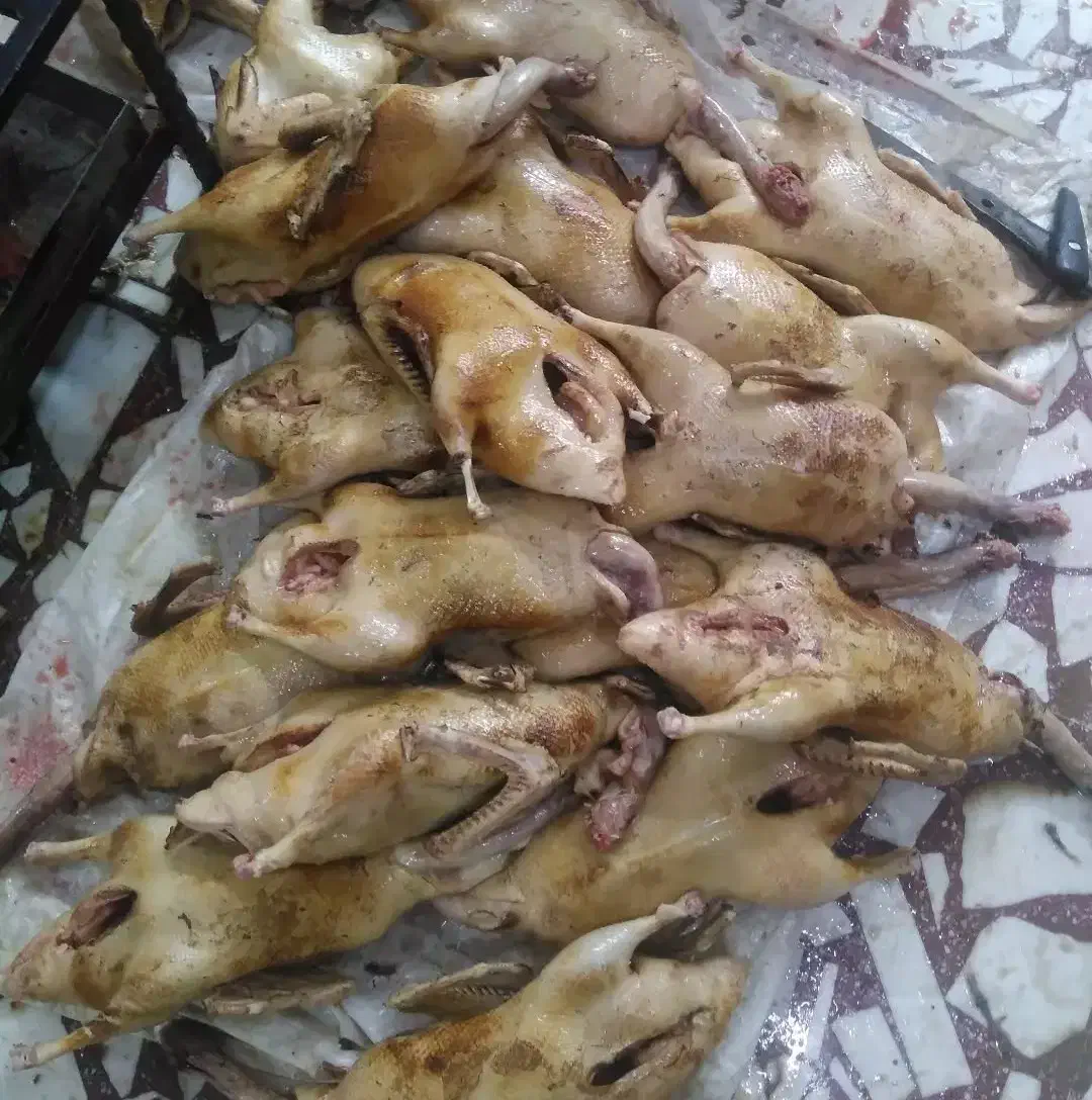 محصولات محلی|خوردنی و آشامیدنی|رشت, بوسار|دیوار