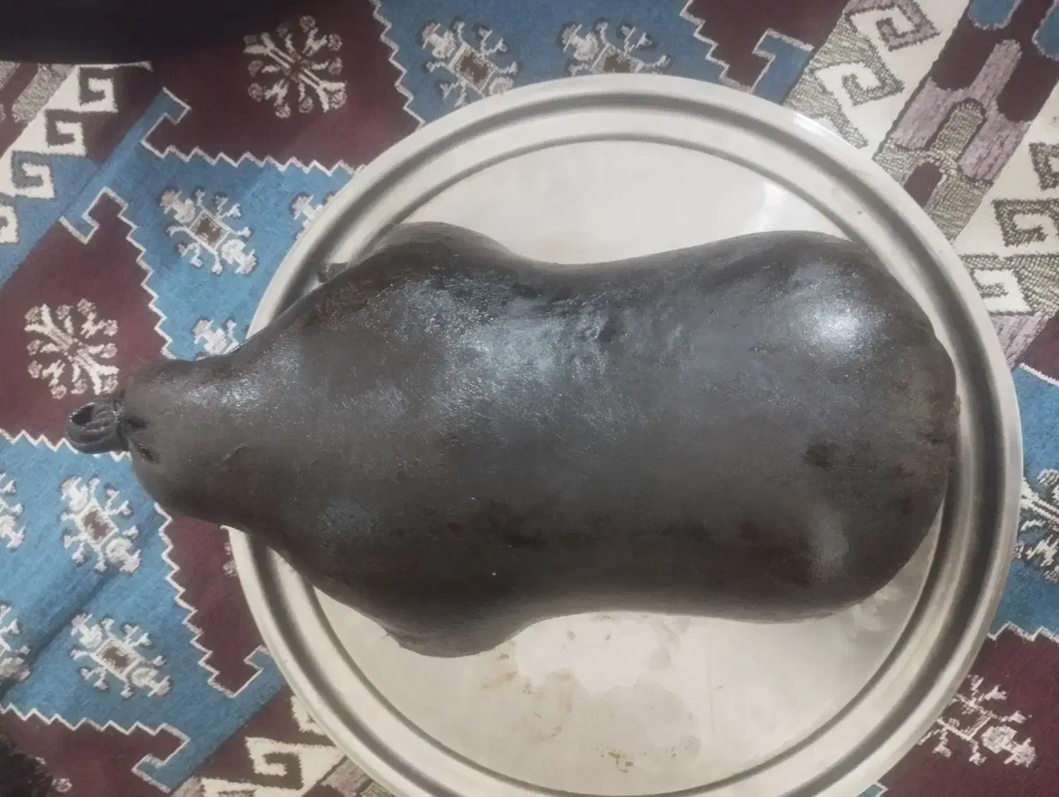 یک عدد هیزه فروشی سالم|صنایع دستی و سایر لوازم تزئینی|پاپی, |دیوار