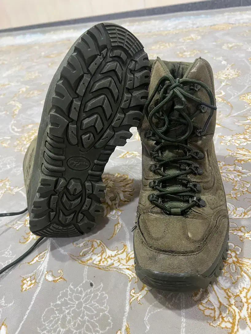 کفش امریکایی اصلی|کیف، کفش، کمربند|بانه, |دیوار