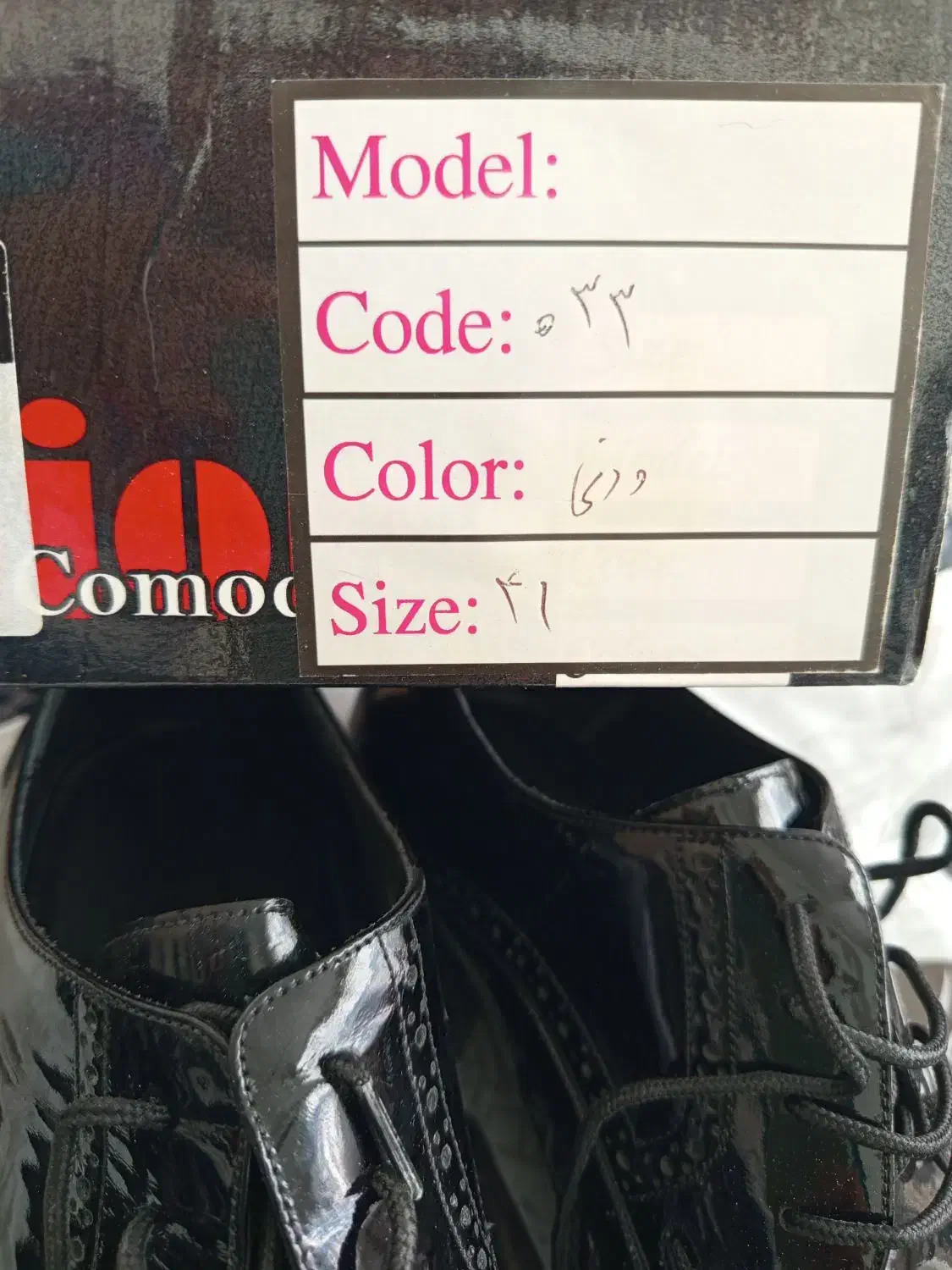 کفش مجلسی|کیف، کفش، کمربند|شیراز, گلشن|دیوار