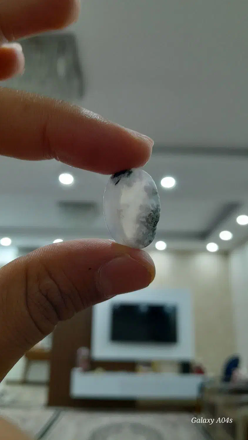 شجر برفی تراش خورده|جواهرات|سنندج, |دیوار