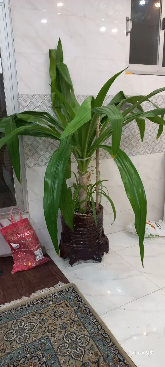 فروش وسایل شخصی و منزل|تلویزیون و پروژکتور|اصفهان, کوی گلزار|دیوار