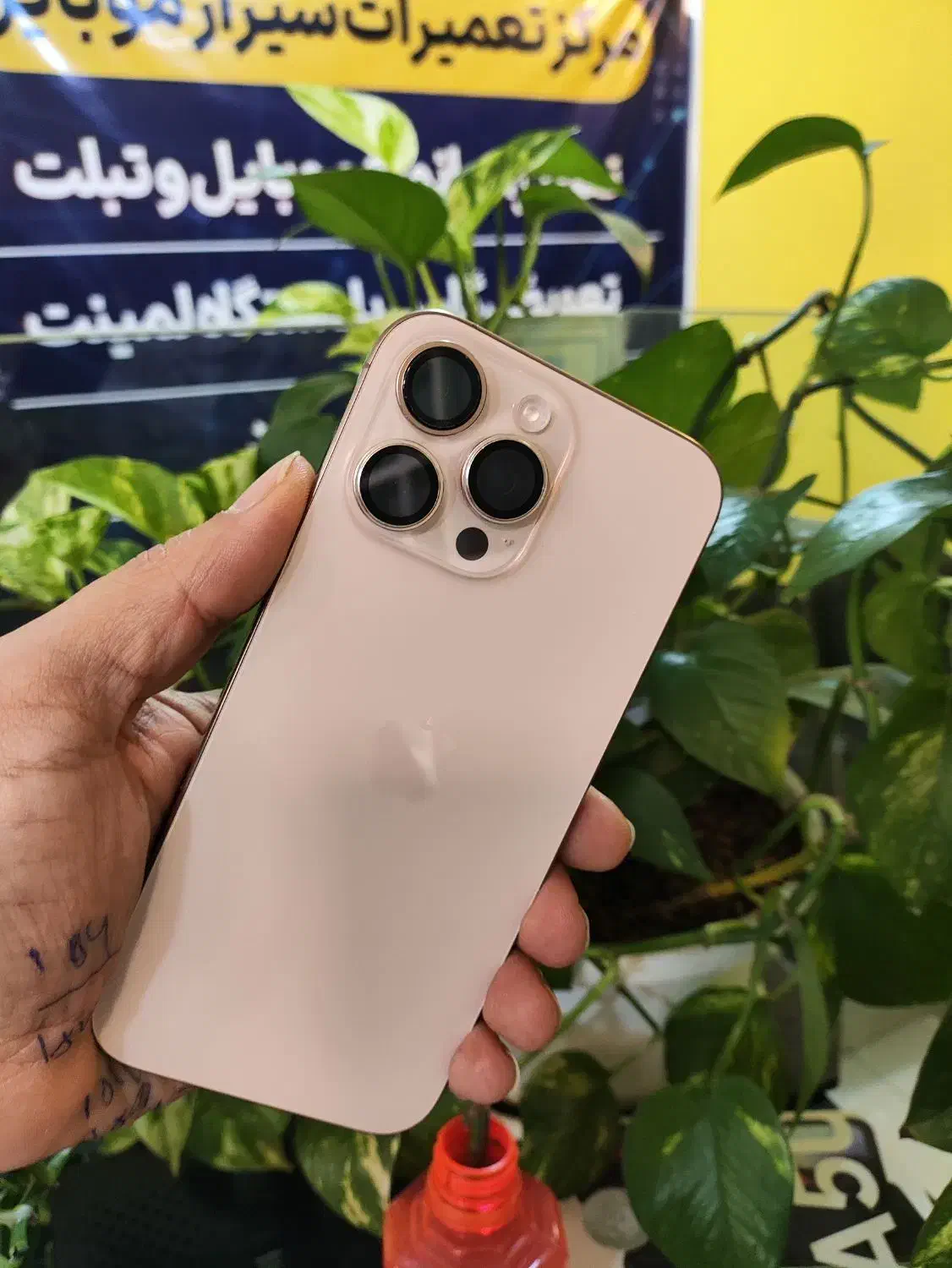 فروش ۱۶ پرومکس رجیستر|موبایل|شیراز, ملاصدرا|دیوار