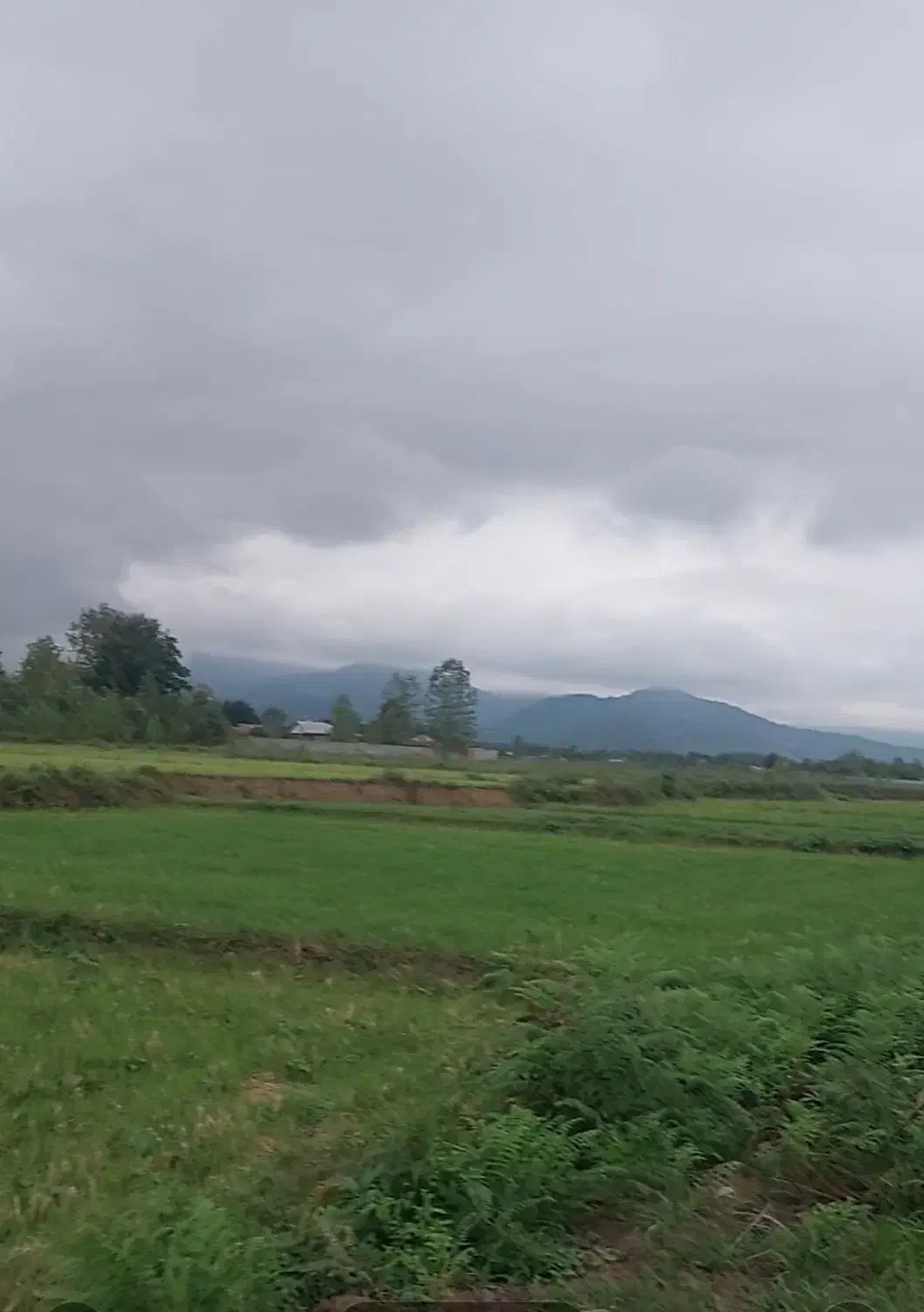 فروش زمین مسکونی با مجوز ساخت وپروانه|فروش زمین و ملک کلنگی|گوراب زرمیخ, |دیوار